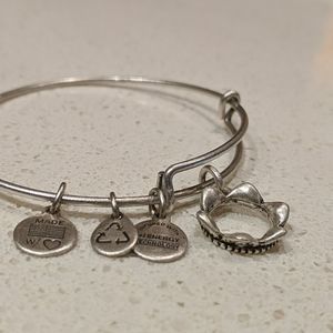Alex & Ani Silver Crown Bangle Bracelet